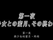 成人动漫與少女的蜜月與終點