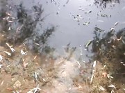 文艺小青年吴昊昊导演2019最新自拍小电影我爱出轨2