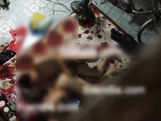 出租屋偷窥隔壁小两口过夫妻生活男的还挺猛的 把老婆艹得捂着嘴巴叫不出来去