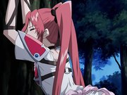 戦乙女ヴァルキリー あなたに全てを捧げます