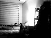 小夫妻床上那点事圆润肥臀小媳妇真漂亮高高撅起腚等着屌入