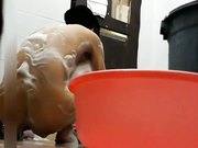 在洗澡房下面留一条大缝方便偷窥女租客洗澡