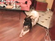 女模特户外露出来性欲 刚到出租房就含着男友的大屌求操