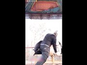 嬌小嫩妹黑絲足交高難度姿勢啪啪 網紅少婦寒冬戶外野戰