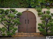 漂亮小姐姐苗条身材吸允起伏性奋想操