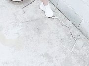 丰满大奶主播 大白天 户外站着被后入很会玩