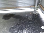 长焦距连拍户外内急难耐找个没人的地方嘘嘘