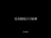 私人秘书-苍井空