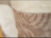 台湾棒球啦啦队大学美女