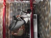 黑丝美乳小嫩模 极致驷马吊绑