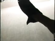 黑丝欲女裙底拍摄 高清自慰 屄毛真浓密