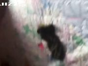 97年舞蹈系模特女级长相三围完美叫声好听