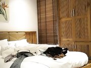 老哥越南找小姐啪啪