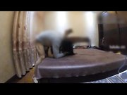 卧室里抬起屁股猛草