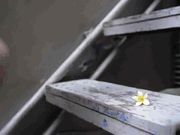 【首发推荐】国产AV巨作兄妹蕉谈 哥哥手把手教学 近亲之间的荒唐性爱