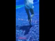 美少女小荷伴遊倆富二代雪地口交海景房啪啪-1