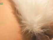 刚上的大二巨乳萌娘的调教 狐狸尾巴肛塞紧身束缚衣拽着狗链