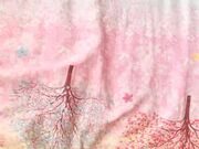 饥渴女奴随性玩弄，享受骚逼的口交暴力抽插，后入爆菊