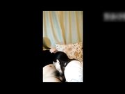 国产剧情和父亲乱伦对白淫荡呻吟给力