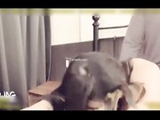 性欲治疗师上门服务-2