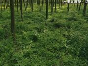 高颜值裸替女神演员『沈樵』超大尺度剧情新作-待在大学寝室的一晚