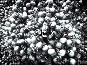 【奇幻猎奇】性魔军团降临人间 抓好几个极品纹身爆乳美女犒赏神魔下属享用