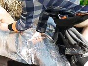 最新流出退休老干部拿着平板开发区溜达郊外荒地枯草丛里打地铺嫖妓