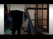 禁忌背德表姊妹双飞八爪椅初体验